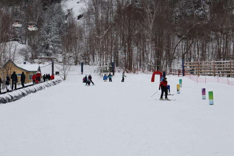 Montreal: Guided Skiing in Quebec Forests - The Overall Experience — Is It Worth It?