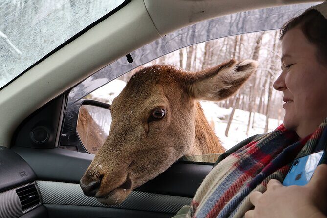 Montreal: Omega Park Canadian Wildlife Safari Adventure - FAQ