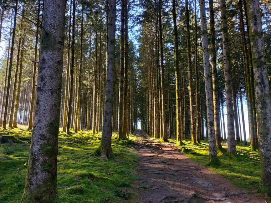 Monts de Guéret: Guided hike to the summit of Maupuy - The Ascent and the Landscapes