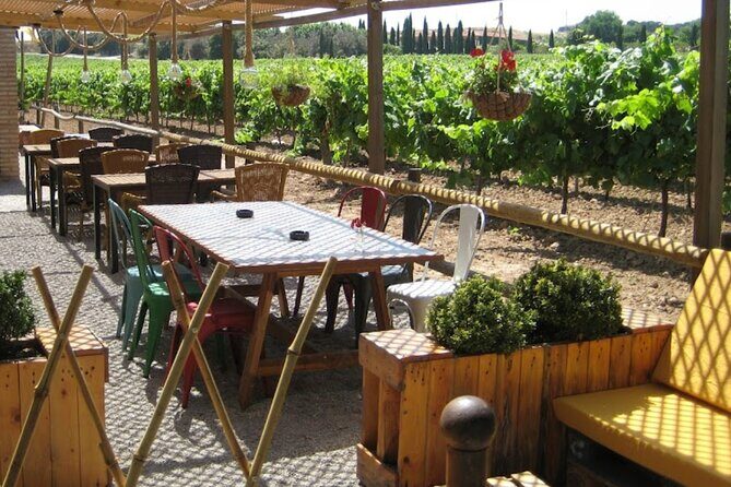 Montserrat & Winery Visit Tour with Traditional Farmhouse Lunch - What Travelers Love Most