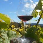 Morning Half Day Carmel Valley Wine Tasting Tour - Final Thoughts