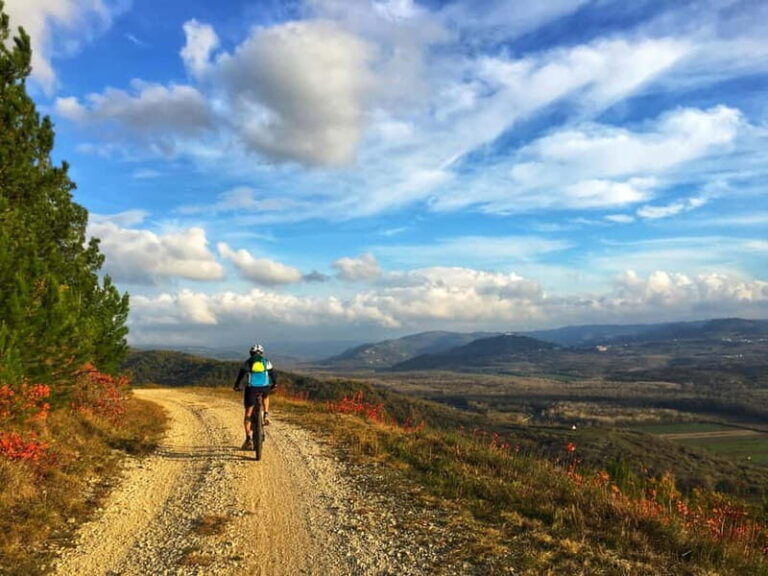 Motovun: E-Bike Tour in Istria - What’s Included and What to Prepare