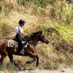 Mount Vesuvius Guided Horse Riding Tour with Sample Wine - Why This Tour Works Well