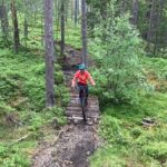 Mountain Bike - Voss Storålsen - How the Experience Unfolds