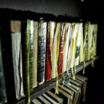 moviESCAPE Stockport Haunted House II Demon's Curse Escape Room - The Storyline and Theme