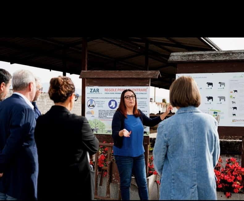 Mozzarella experience: discovering the art of cheese making - Is It Worth the Price?