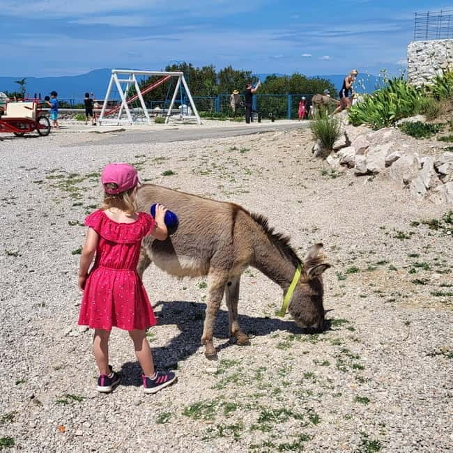 mrika (near Rijeka/Krk/Crikvenica) Donkey Farm Family Fun - Why This Experience Works Well