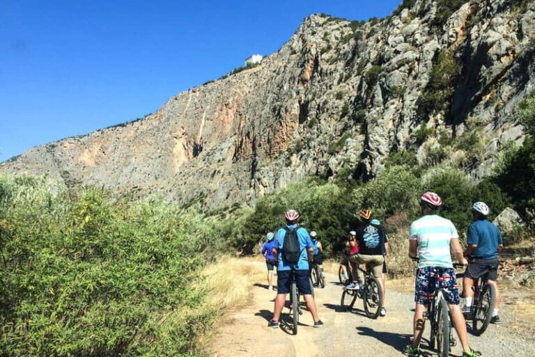 Mt. Parnassos: Mountain Bike in Altitude Forest - The Route: What to Expect