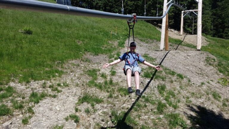 Mt. Pilatus Golden Roundtrip Private Day Trip from Basel - The Ascent: Cogwheel Railway and Cableways