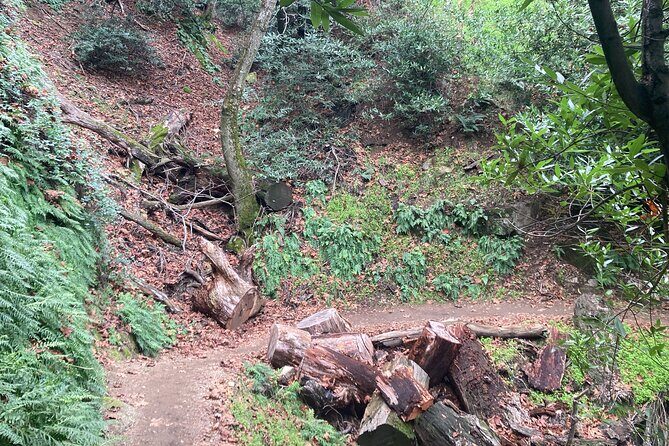 Mt Wilson Summit Adventure: Hike Up & Bike Down - The Sum Up