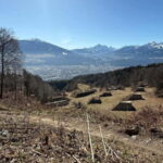 Mtb tours Innsbruck (experience the most beautiful trails in Innsbruck) - The Guided Experience: Expertise and Flexibility
