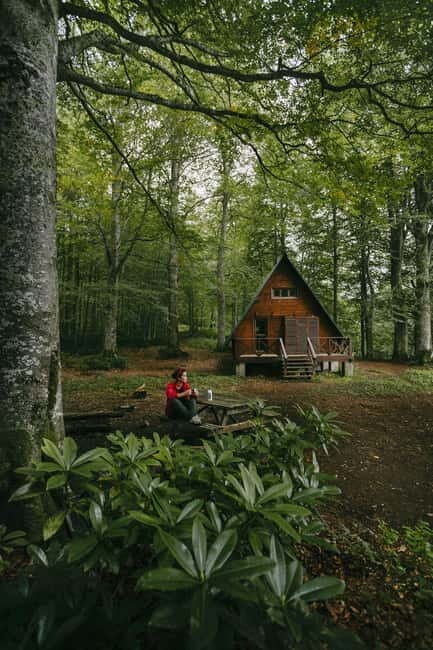 Mtirala National Park 2-Day Guided Hiking Tour from Kutaisi - A Closer Look at the 2-Day Itinerary