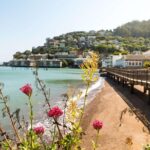 Muir Woods and Sausalito + Ferry, Alcatraz Night Tour & Aquarium Access - Practical Details and Tips