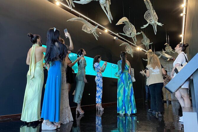 Munba National interactive Whale Museum - Introduction: The Wonders of MUNBA in Mazatlán