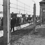 Munich: Dachau Concentration Camp Private Tour by Car - Real Experiences and Review Insights