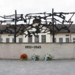 Munich: Private City Tour & Dachau Concentration Camp by Car - Value & Practical Tips
