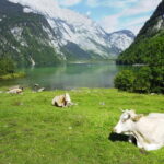 Munich: Private Lake Königssee & Salt Mine Tour with Lunch - Exploring the Itinerary in Detail