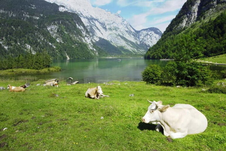 Munich: Private Lake Königssee & Salt Mine Tour with Lunch - Exploring the Itinerary in Detail