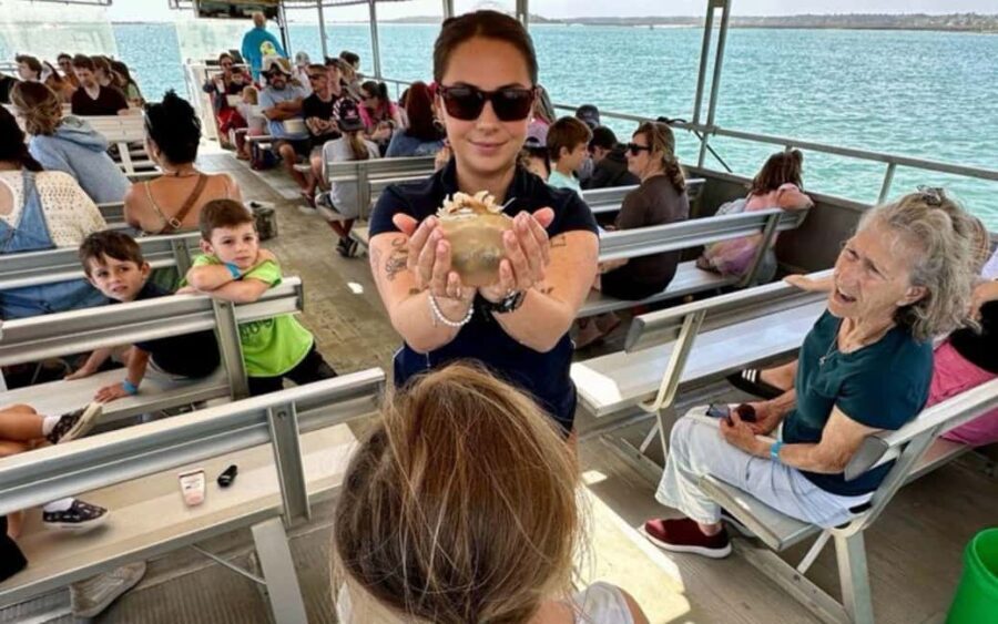 Murrells Inlet: Saltwater Marsh Eco Tour w/ Marine Biologist - The Value of This Saltwater Marsh Eco Tour