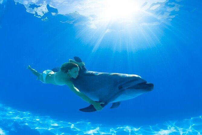 Must-DO The only and Unique Natural Space Dolphin Encounter Cabo - FAQ