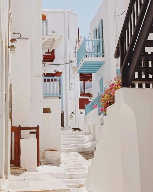 Mykonos Cruise Passenger Exclusive Jeep Tour: Must See in 4h - Detailed Breakdown of the Itinerary