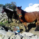 Mykonos Family Jeep Adventure: Farm, Winery and Beach Fun - Final Thoughts: Is This Tour Right for You?