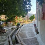 Myli: Beekeeping Secrets Guided Tour with Traditional Meze - The Secrets of Beekeeping