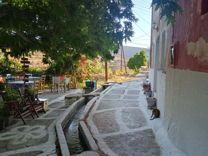 Myli: Beekeeping Secrets Guided Tour with Traditional Meze - The Secrets of Beekeeping