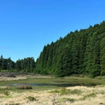 Mystery Tour of Terceira Island - Detailed Itinerary and Highlights