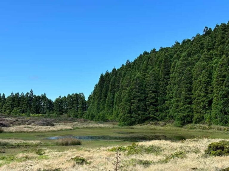 Mystery Tour of Terceira Island - Detailed Itinerary and Highlights