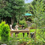 N. Ireland: Award Winning Guided Scenic Alpaca Trekking - Exploring BallyBurren Outdoor Escapes: What to Expect