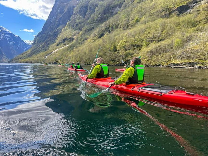 Nærøyfjord Full-Day Guided Kayaking Trip - Authentic Experiences and Genuine Insights from Past Participants