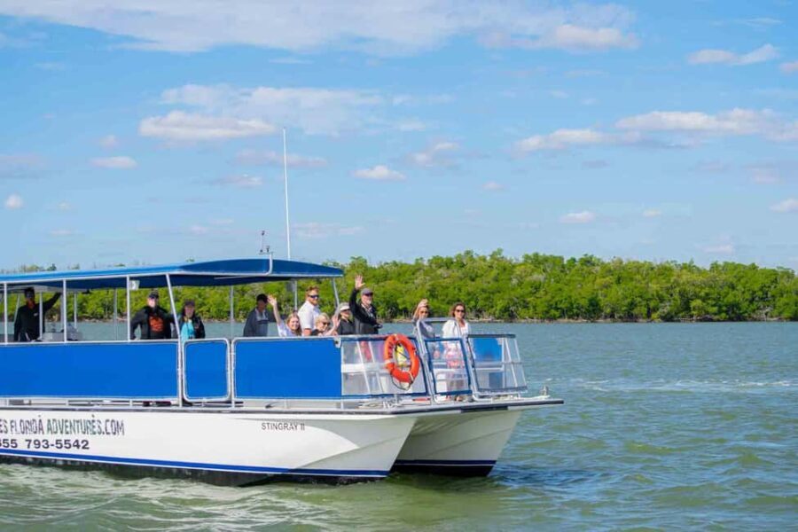 Naples: 10,000 Islands Boat and Wildlife Tour - What to Expect on the Tour