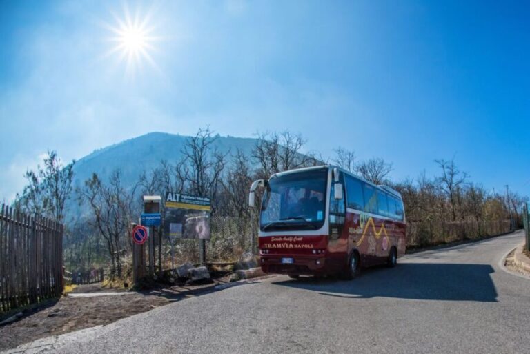 Naples Bus Excursion: Explore Vesuvius On Your Own - Reaching the Crater and the Summit