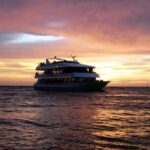 Naples: Sightseeing and Dining Cruises - Final Thoughts