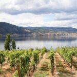 Naramata Public Wine Tour - Full Day - Discovering the Charm of Naramata