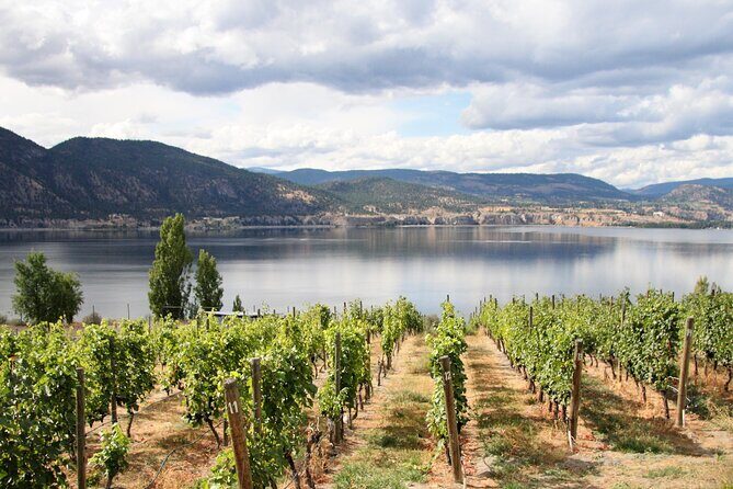 Naramata Public Wine Tour - Full Day - Discovering the Charm of Naramata