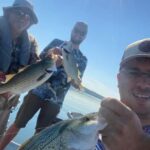 Nashville: Hybrid and Striped Bass Fishing Trip - Practical Tips for Your Trip