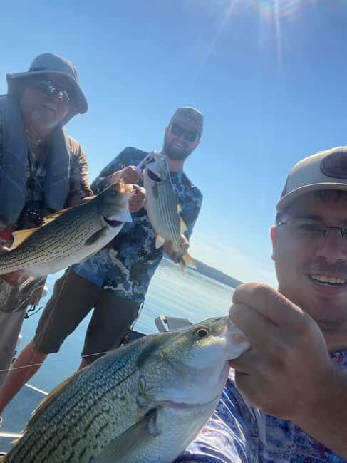 Nashville: Hybrid and Striped Bass Fishing Trip - Practical Tips for Your Trip