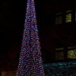 Nashvilles Holiday Harmony: A Private Christmas Melody Tour - Authentic Insights from Reviews