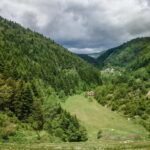National Park Mavrovo from Ohrid - What Travelers Love About the Tour