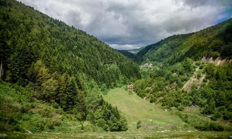 National Park Mavrovo from Ohrid - What Travelers Love About the Tour
