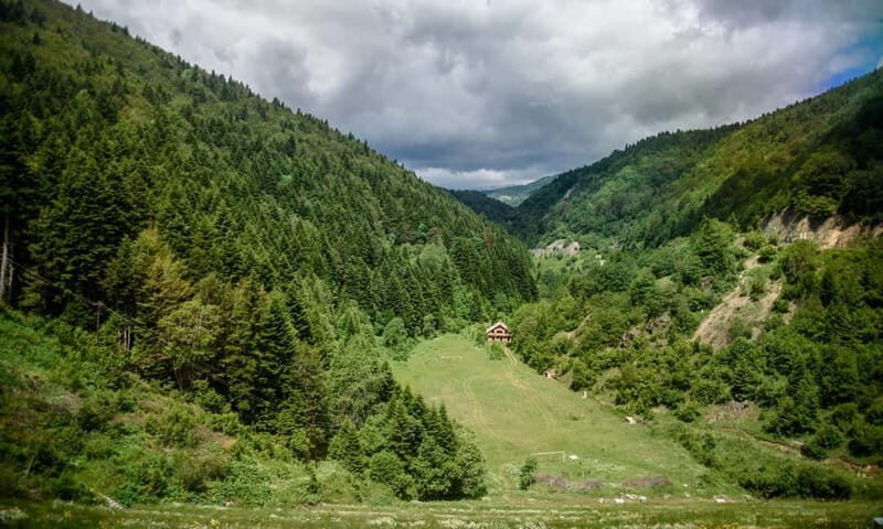 National Park Mavrovo from Ohrid - What Travelers Love About the Tour