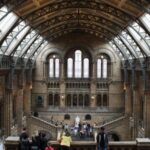 Natural History Museum e Kensington Garden - What’s Included and What to Consider