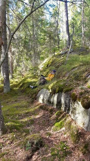 Nature Hike from Stockholm - Exploring the Itinerary and What You Can Expect