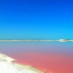 Nature Tour at Las Coloradas and Rio Lagartos Biosphere - What Makes This Tour Stand Out?
