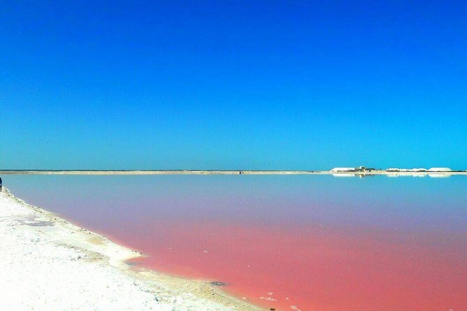 Nature Tour at Las Coloradas and Rio Lagartos Biosphere - What Makes This Tour Stand Out?