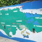 NatureCures Tropical Food Forest 12 Day Group Experience - Final Thoughts