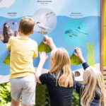 Naturerbe Zentrum Rügen & Treetop Walk Experience - Discovering Naturerbe Zentrum Rügen & Its Highlights