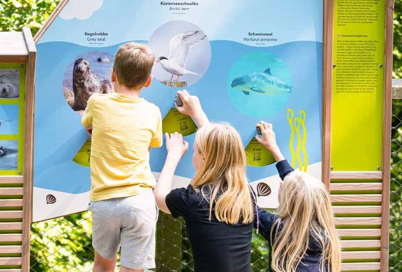 Naturerbe Zentrum Rügen & Treetop Walk Experience - Discovering Naturerbe Zentrum Rügen & Its Highlights